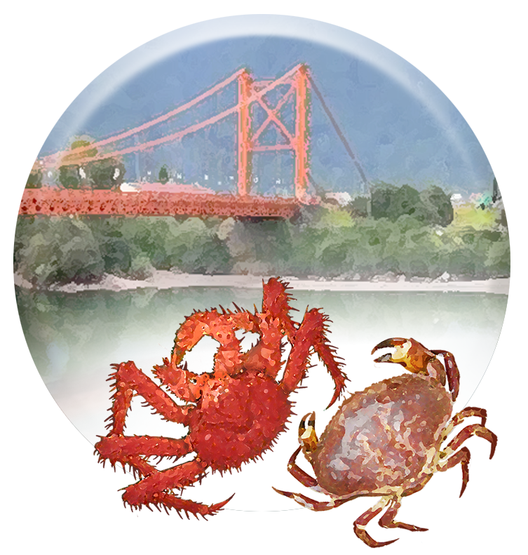 Jaibas y Centollas - Aysén